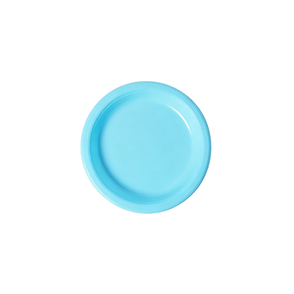 Plastic plate