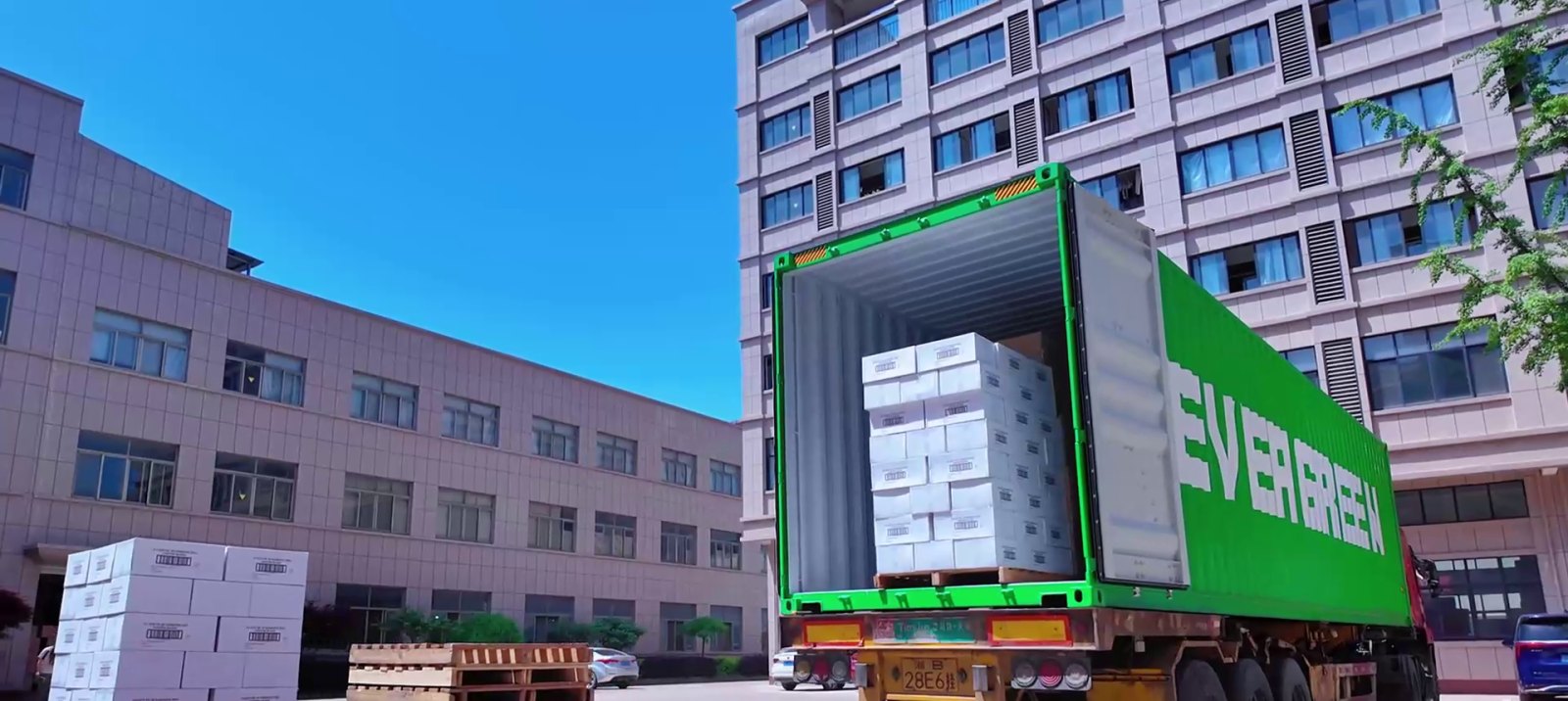 Export cartons loaded into a shipping container